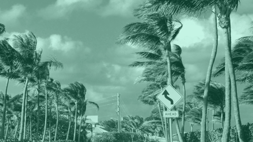 What will drive FX rates - Tariffs or Mar-o-Lago accord?